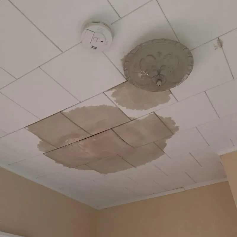 Ceiling Water Damage Repair in Newtown Grant, PA