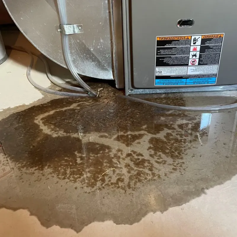 Pipe Burst and Leak Restoration in Newtown Grant, PA