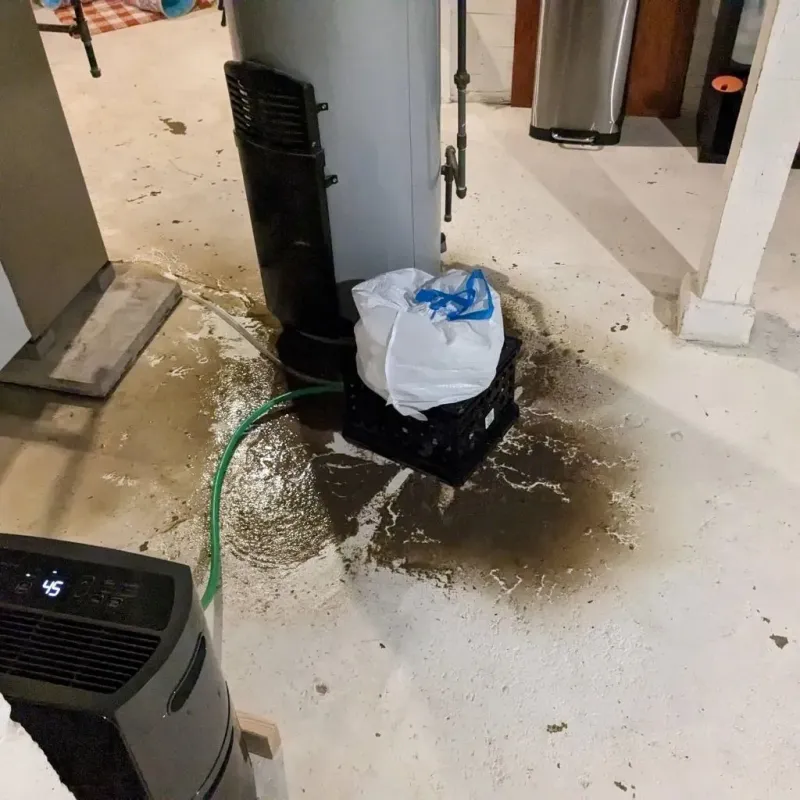 Sewage Backup Cleanup Service in Newtown Grant, PA